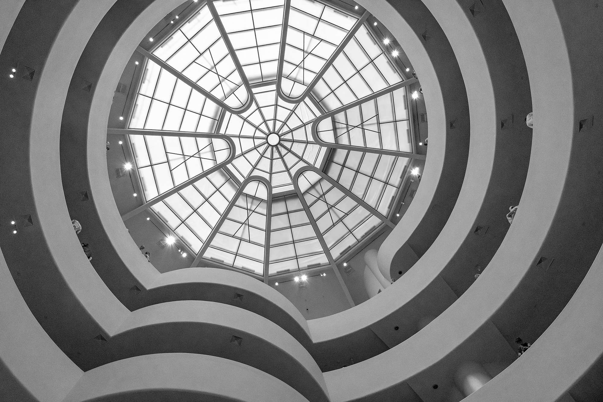 Guggenheim: Das Dach
