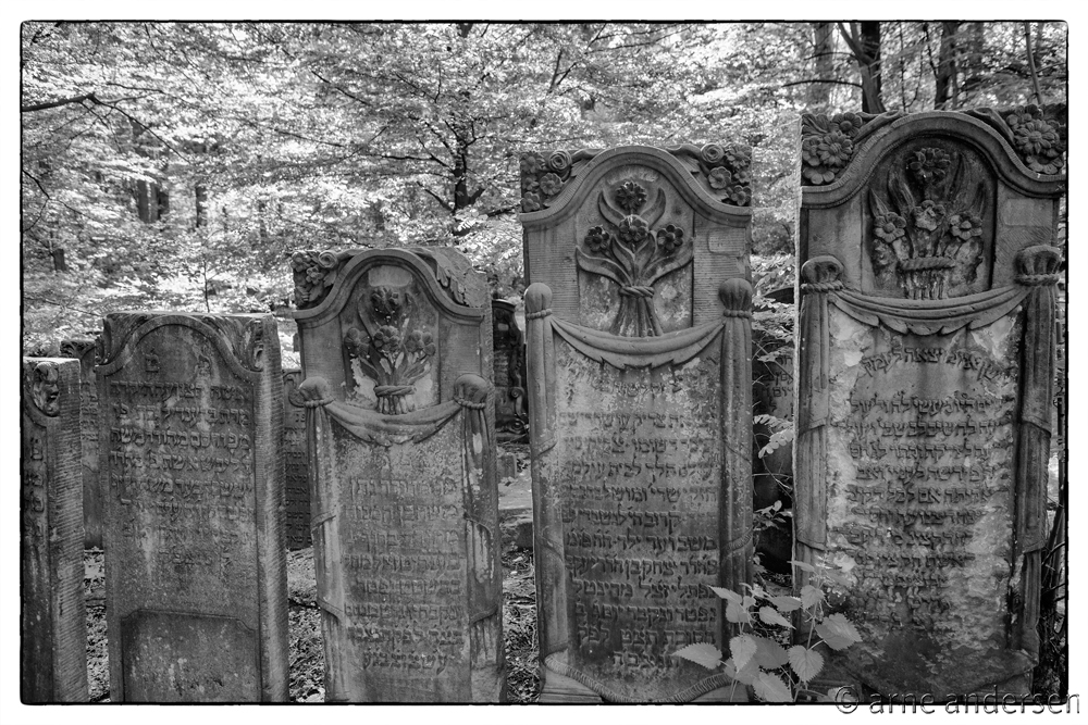 Jüdischer Friedhof Altona 3